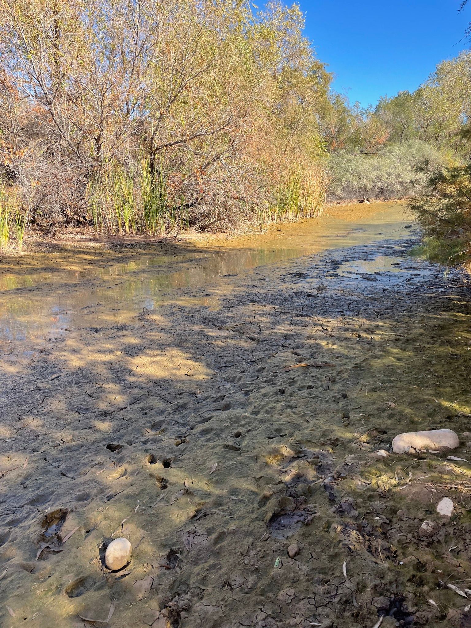 Wrong Way #1112: Liquor Tits in the Wetlands